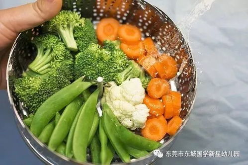 哪些食物能有效补充营养？附带营养美食图片展示