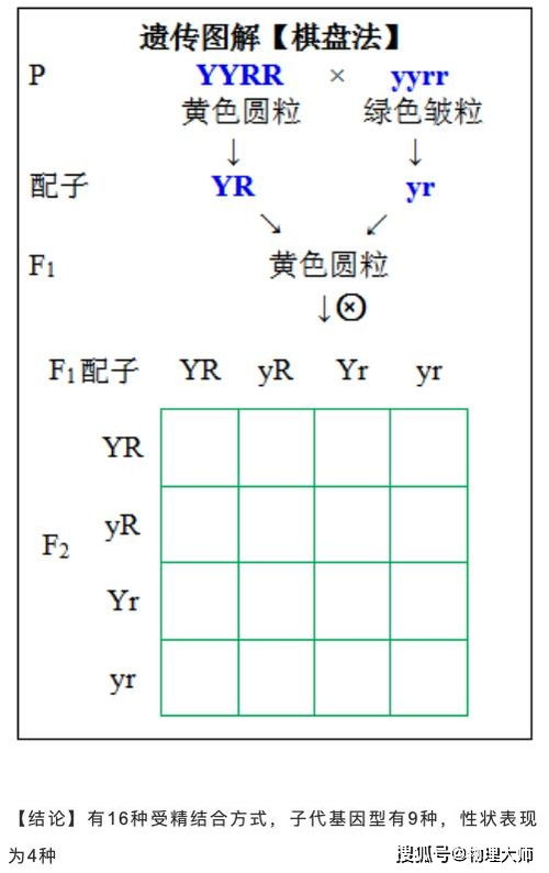 如何用多种方式表示偶数集合？偶数集合的表示方法有哪些？