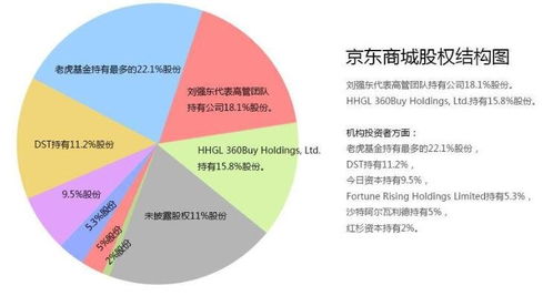 公司股份分配与分红机制是怎样的？如何确保公平合理？