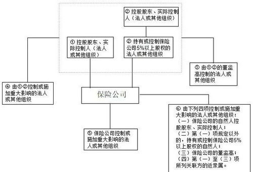 亲属关系究竟涵盖哪些范围？如何定义亲属间的联系？