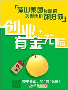 如何用小投资开启家庭手工代加工项目，实现创业梦想？