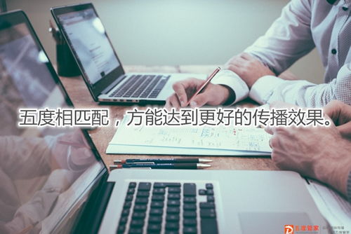 如何有效提升品牌塑造力度，增强品牌影响力？