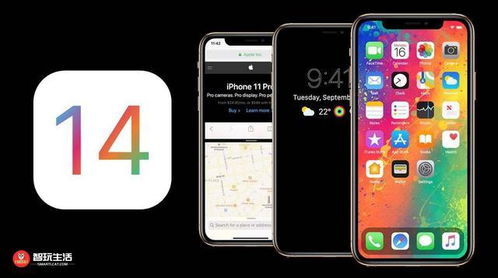 微信付款的向日葵功能如何使用？iOS 14系统下微信向日葵有哪些新变化？