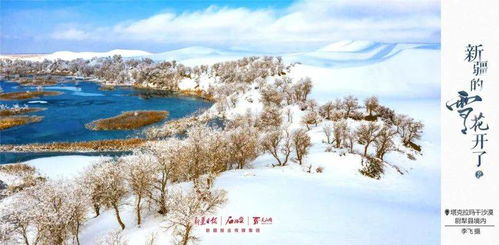 白雪皑皑！北京迎来罕见强降雪，镜头下美景引人入胜