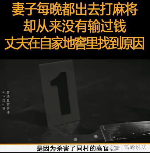 11年从未输钱？内蒙女子每晚打麻将，丈夫在地窖发现惊人秘密？