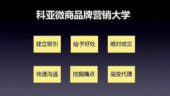 apm在微商领域究竟指什么？这个术语背后藏着哪些秘密？