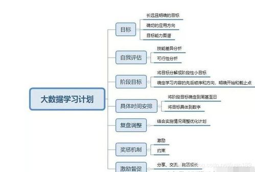 大学规划如何制定？详解个人学业发展蓝图