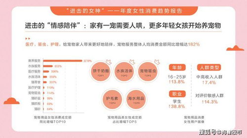 40岁女性如何选择适合自己的热门技术？解锁职业新发展路径