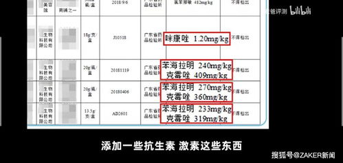 养3000只散养鸡究竟能赚多少钱？利润分析大揭秘