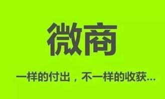 参加微商培训后，你会有哪些意想不到的收获和体验？