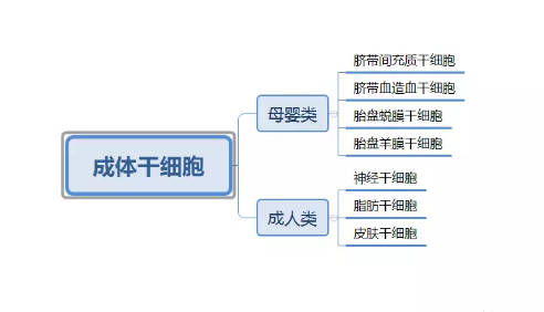 万色账号究竟有何用途？它的实际功能是什么？