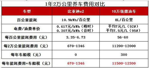 惠州比亚迪员工规模究竟有多大？人数之谜待解