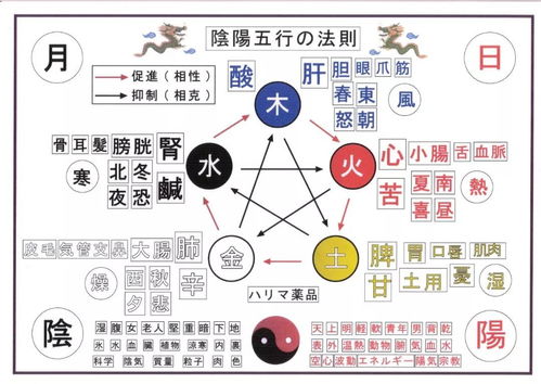 五行具体包含哪些元素？所指范围详解