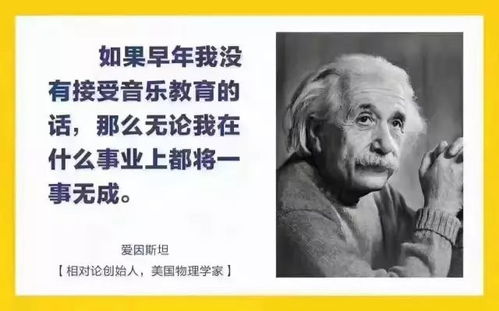 华莱士设备的价格是多少？一探究竟，性价比如何评估？