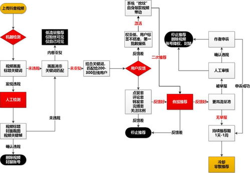 如何详细注册抖音商家店铺？抖音店铺位置定位与账号开设流程指南