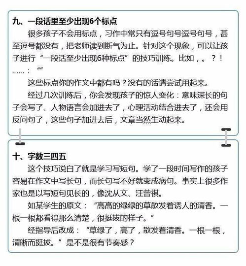 如何撰写一篇精炼的300字作文，有哪些技巧和要点？