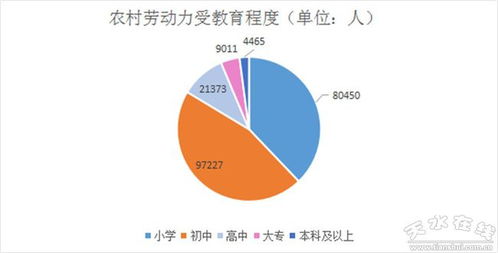 如何利用农村加工项目，将廉价劳动力转化为高额收益？