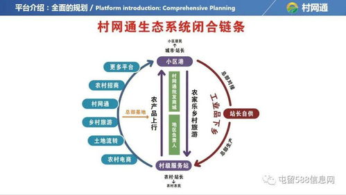 回农村创业，究竟选择什么项目才能成功？