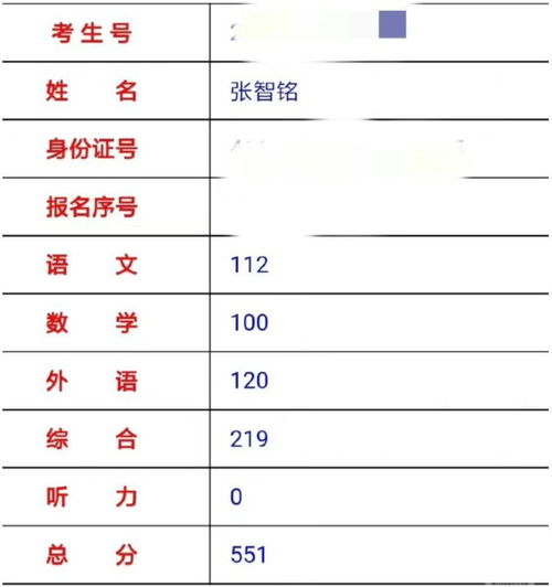 国网网申为何屡遭淘汰？背后的拒录因素有哪些？